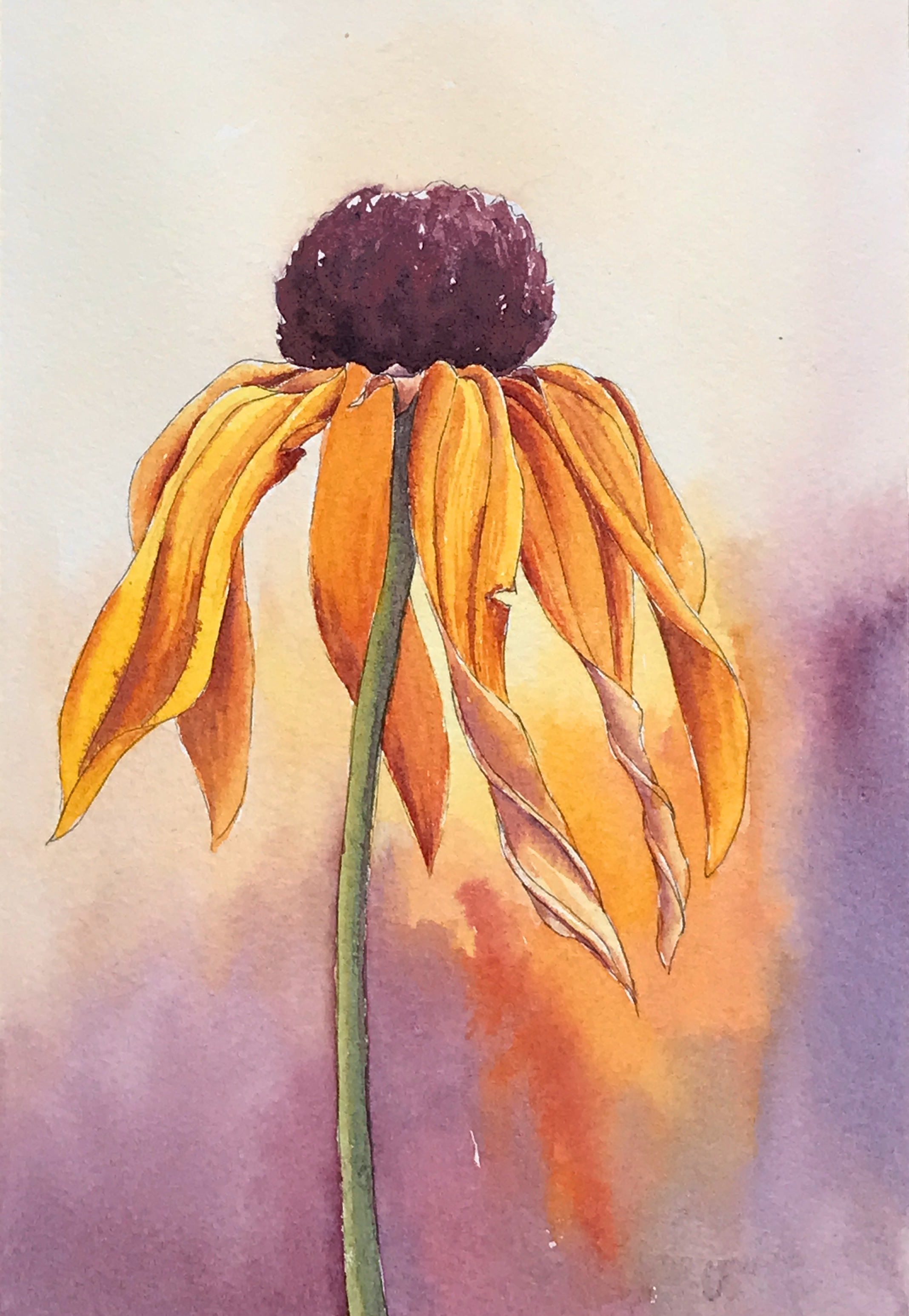 Aquarell (Lea Joos): Verwelkte Blume