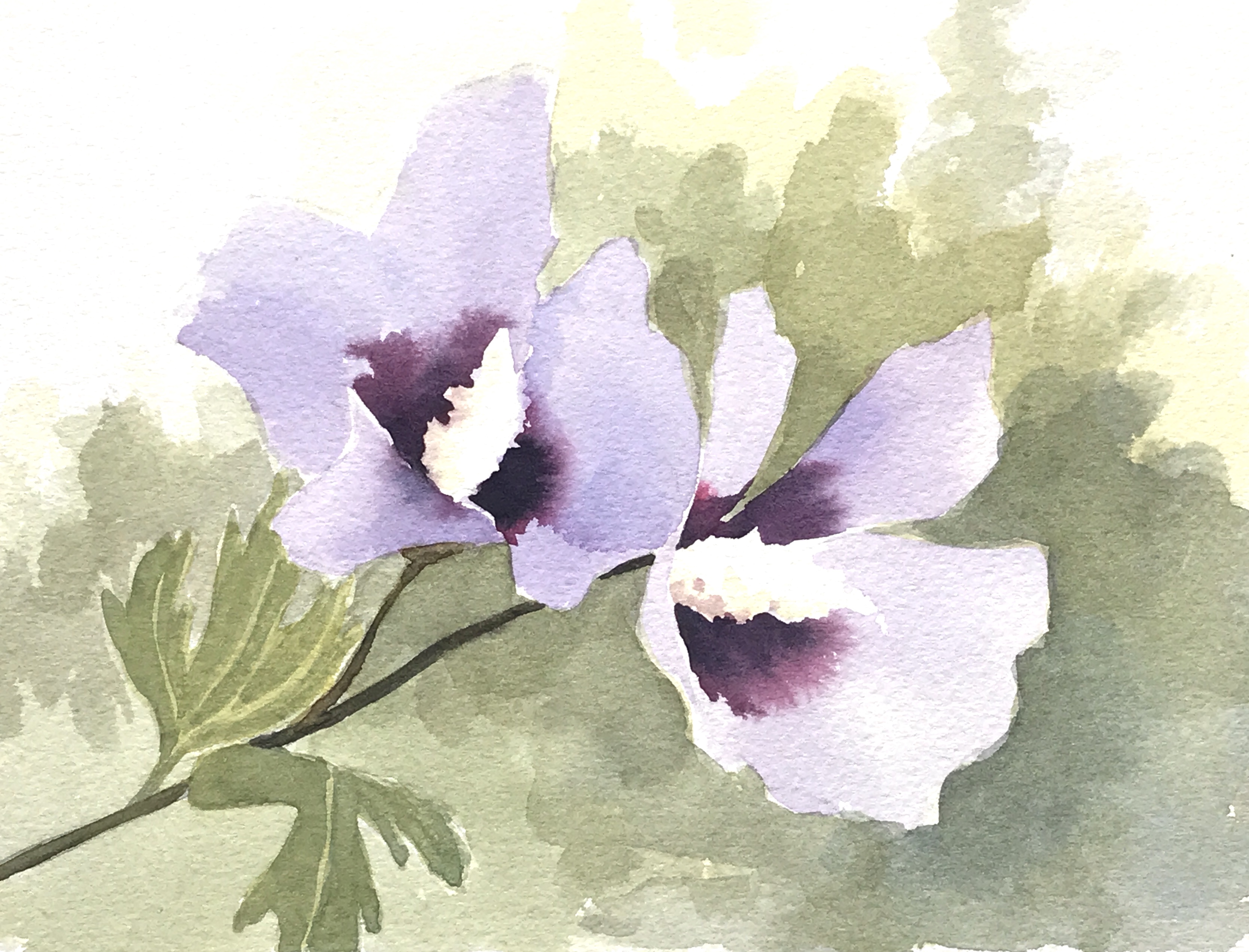 Aquarell (Lea Joos): Hibiskusbluete